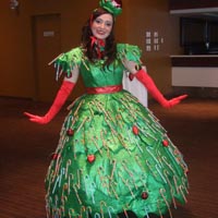 Candy Cane Dress                  This Stunning one of a kind dress holds 350 Candy Canes for guests to enjoy! It is also beautiful decorated with ornaments! This a fantastic dress for any holiday party! 